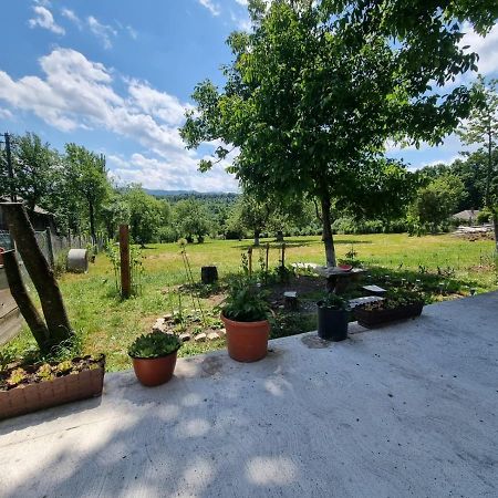 Casa Primitoare In Inima Naturii Si Padurii Rasca  Exteriér fotografie