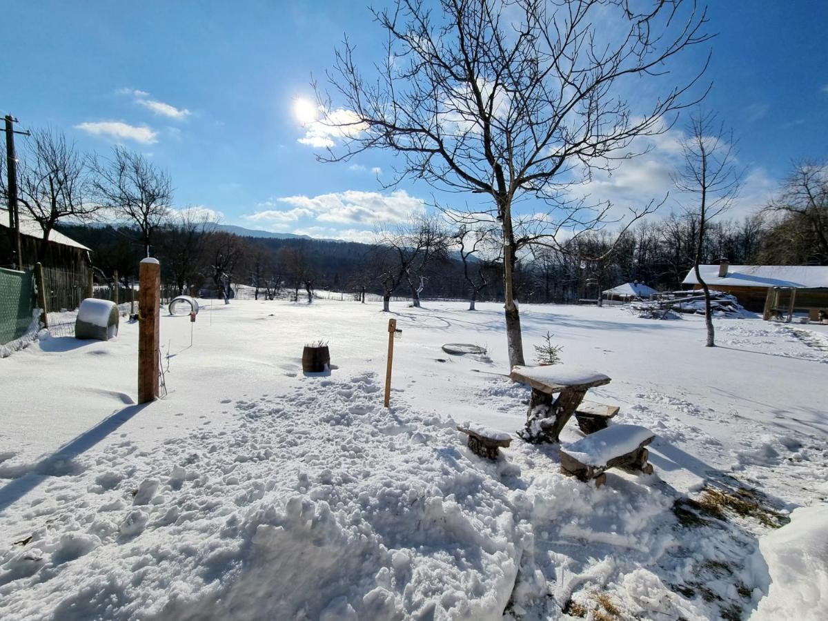 Casa Primitoare In Inima Naturii Si Padurii Rasca  Exteriér fotografie